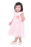Baby Pink Ruffle A-Line Long Dress